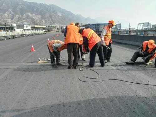 洋浦经济开发区道路桥梁病害治理